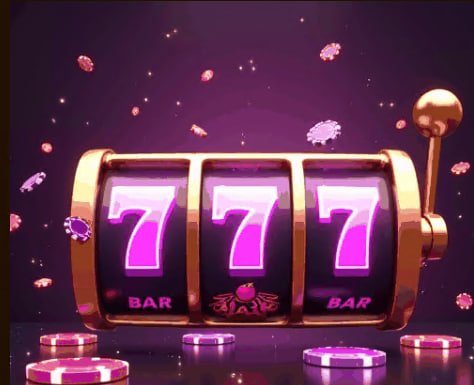 6588 bet